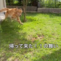 ララちゃんの熱烈歓迎5