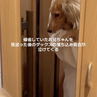 健気すぎます…！