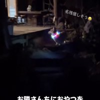 「いや、いけるか…？」