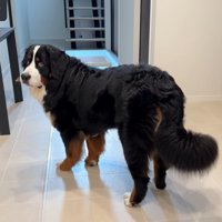 まさかのフリーズ！