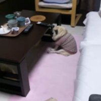 迎えに行ってみたら…