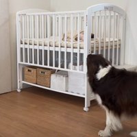 ベビーベッドのそばに常駐