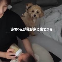 お兄ちゃんになった結果…