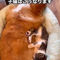ぎゅうぎゅう詰め♡
