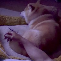 目覚めた小雨ちゃん