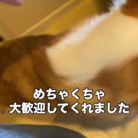 大興奮でお迎え！！
