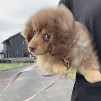 手足をバタバタ！