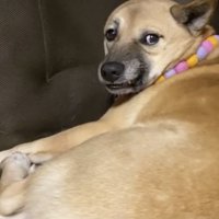 手の動きはきっちり観察