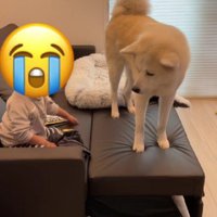 「見えない～！」