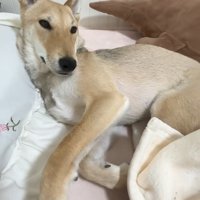 どこでもお触りOKです