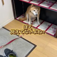 ロッカーの中！！
