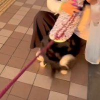 思わず尻もち！