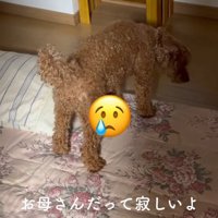 しょんぼり…