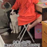 作業中のお姉ちゃんとアグちゃん8