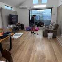 ジャンプする犬1