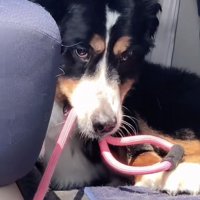 立てこもりへの強い決意