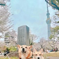 スカイツリーをバックに記念撮影