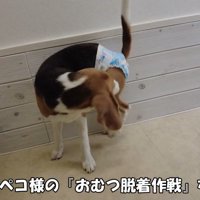 オムツをお口で外す作戦