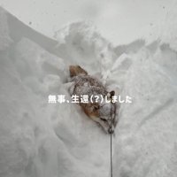 気合いで方向転換！