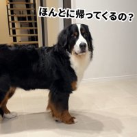 ソワソワしながら待機