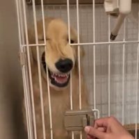 顔がつぶれるかやちゃん