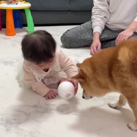 ほのちゃんとうにくん