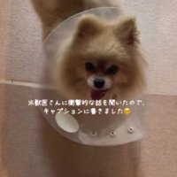 笑顔を見せてくれるように