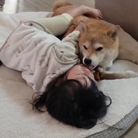 クッションの上で二度寝