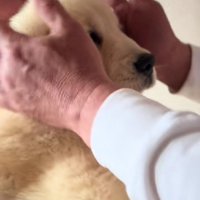 温かい手に包まれて…