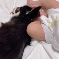 すずちゃんと赤ちゃん5