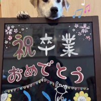 里親さんが見つかったよ！！