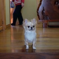 ご家族が後ろを通ると…