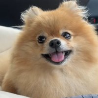 パパさんの実家に向かいます