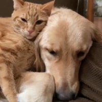 これからも仲良くね！