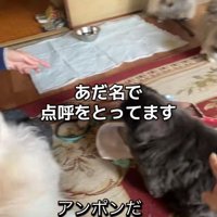 あだ名を呼んで点呼