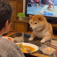 パパの夕飯時は…