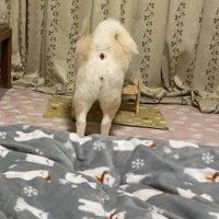 とりあえず水分補給…