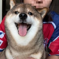 普段