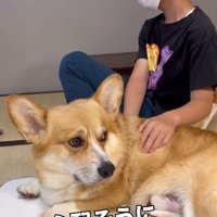 お兄ちゃんを心配しているお顔