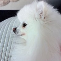 骨まで可愛いこまめちゃんでした