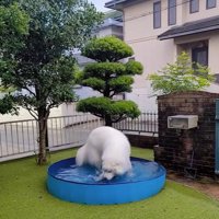 水で遊ぶミントくん