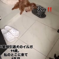 無防備な姿でスヤスヤ♡