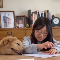 プリントの端を咥える犬