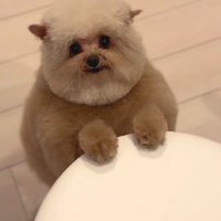 ユニークでかわいい♡