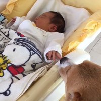 赤ちゃんが生まれたら…