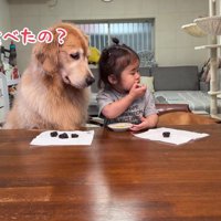 おからちゃんも釣られて…