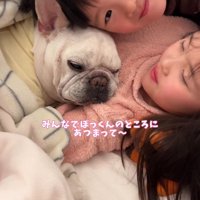 犬のそばにやってきた男の子