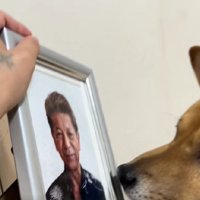 「これはおじいちゃんの顔…」