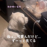 「こんにちは〜」