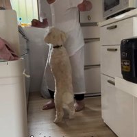 ワンコとおじいちゃんの日常3